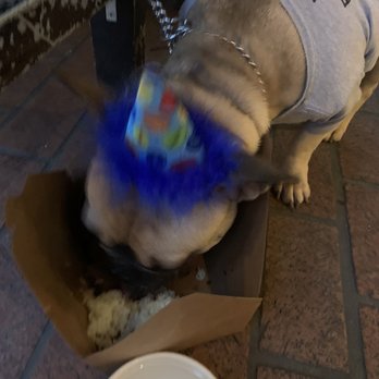 Dexter's Deli - Birthday feast. - Pet Stores Near Me - San Diego, California Dexter's Deli - Birthday feast. - Pet Stores Near Me - San Diego, California