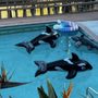 Photo of Nelson Pool & Spa Service