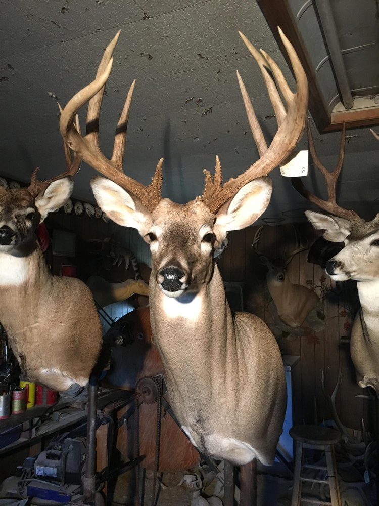 BIG GAME TAXIDERMY EUDORA, KS Updated September 2024 11 Photos