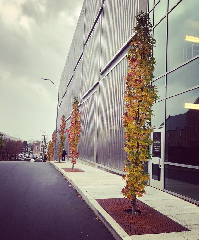 LANDMARK LANDSCAPES Updated August 2024 1985 Brevard Rd, Arden