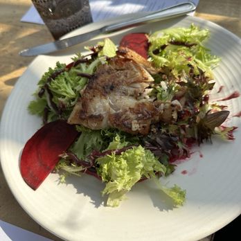 Outpost - Beet salad topped with sea bass. - Mexican Near Me - Cabo San Lucas, BCS Outpost - Beet salad topped with sea bass. - Mexican Near Me - Cabo San Lucas, BCS