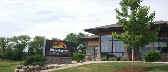 Badger Veterinary Hospital - pet boarding facility in Cambridge, WI