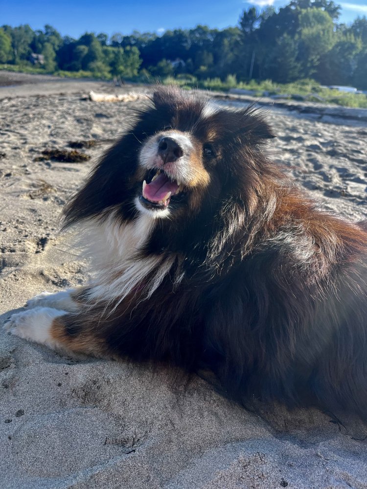 Slide of Mishka Plumbing & Heating