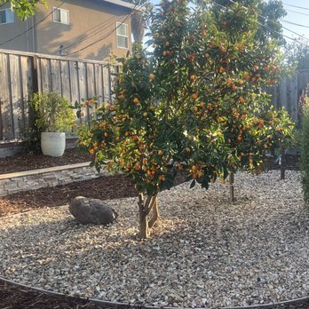 Kay Green Landscape - Backyard - Landscaping Near Me