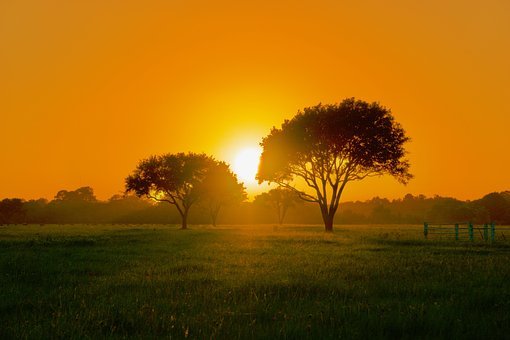 Slide of Forever Homes Service