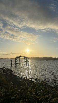 Bay Point Landing by null