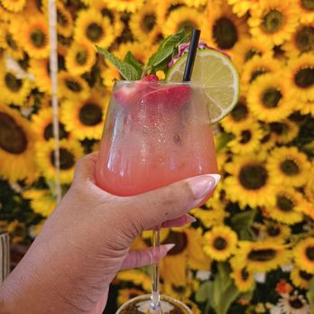 The Sunrise House - Breakfast & Brunch Near Me - Houston, Texas The Sunrise House - Breakfast & Brunch Near Me - Houston, Texas