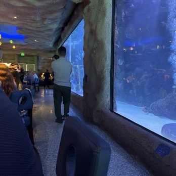 Aquarium Restaurant - Seafood Near Me - Houston, Texas