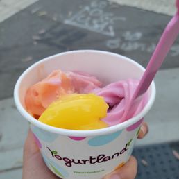 Fruity frozen yogurt flavors Fruity frozen yogurt flavors