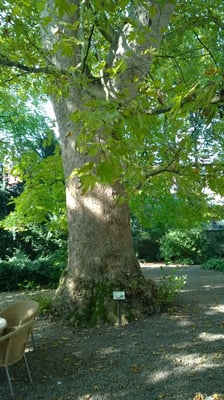 Grand Hotel Karel V by null