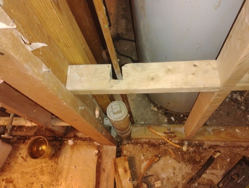 Slide of American Renovators