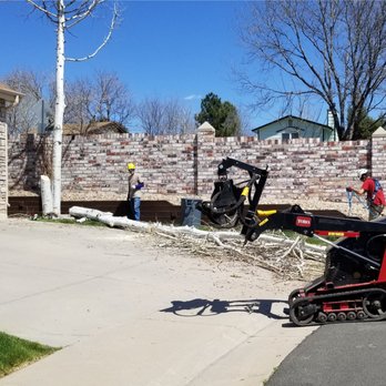 Prince Stump Grinding - Terry's equipment was pretty impressive - Tree Services Near Me Prince Stump Grinding - Terry's equipment was pretty impressive - Tree Services Near Me