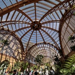 Botanical Building - Where are all the flying dinosaurs?