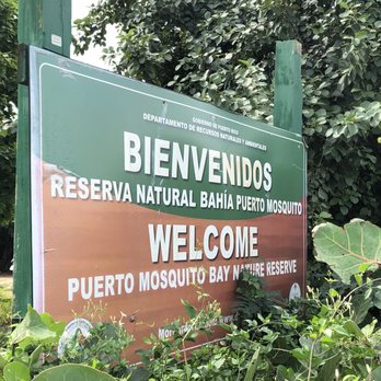 Sun Bay Beach - Sign at end of Sun Bay which leads to Navio and Media Luna beaches. - Beaches Near Me - Vieques, Puerto Rico