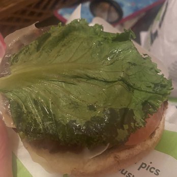 BurgerFi - Soggy rotten lettuce - Burgers Near Me - Wellington, Florida BurgerFi - Soggy rotten lettuce - Burgers Near Me - Wellington, Florida