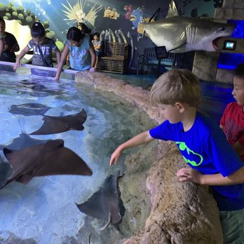 Austin Aquarium - Aquariums Near Me - Austin, Texas