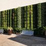 Good Earth Plant Company
