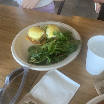 Egghead Cafe - Coffee & Tea Near Me - Honolulu, Hawaii Egghead Cafe - Coffee & Tea Near Me - Honolulu, Hawaii