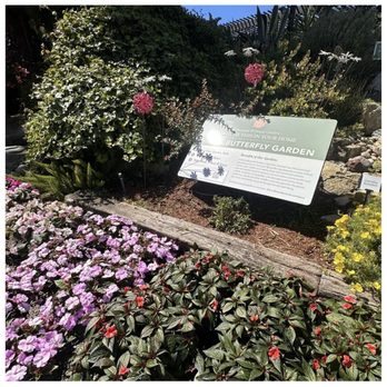 Roger's Gardens - Nurseries & Gardening Near Me - Corona Del Mar, California