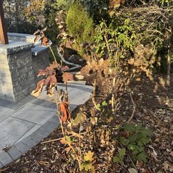 At&T - They cut and trampled plants not in the easement but on our property.