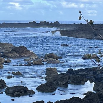 Oahu Photography Tours - Shark's Cove - Tours Near Me - Honolulu, Hawaii