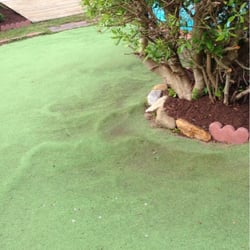 Mini Golf - Tree roots go through the course!! WTF!?
