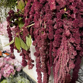 So Cal Flowers & Supply - Flowers & Gifts Near Me - Oxnard, California So Cal Flowers & Supply - Flowers & Gifts Near Me - Oxnard, California