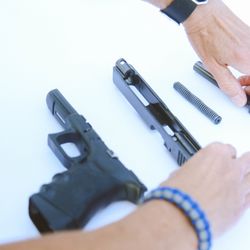 The Cognitive Defender