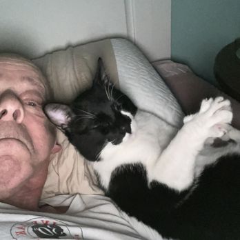 Biddeford Animal Hospital - Benny & papa - Veterinarians Near Me - Biddeford, Maine Biddeford Animal Hospital - Benny & papa - Veterinarians Near Me - Biddeford, Maine