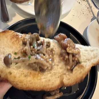 Kapa Hale - The mushrooms were so tasty! - Hawaiian Near Me - Honolulu, Hawaii Kapa Hale - The mushrooms were so tasty! - Hawaiian Near Me - Honolulu, Hawaii