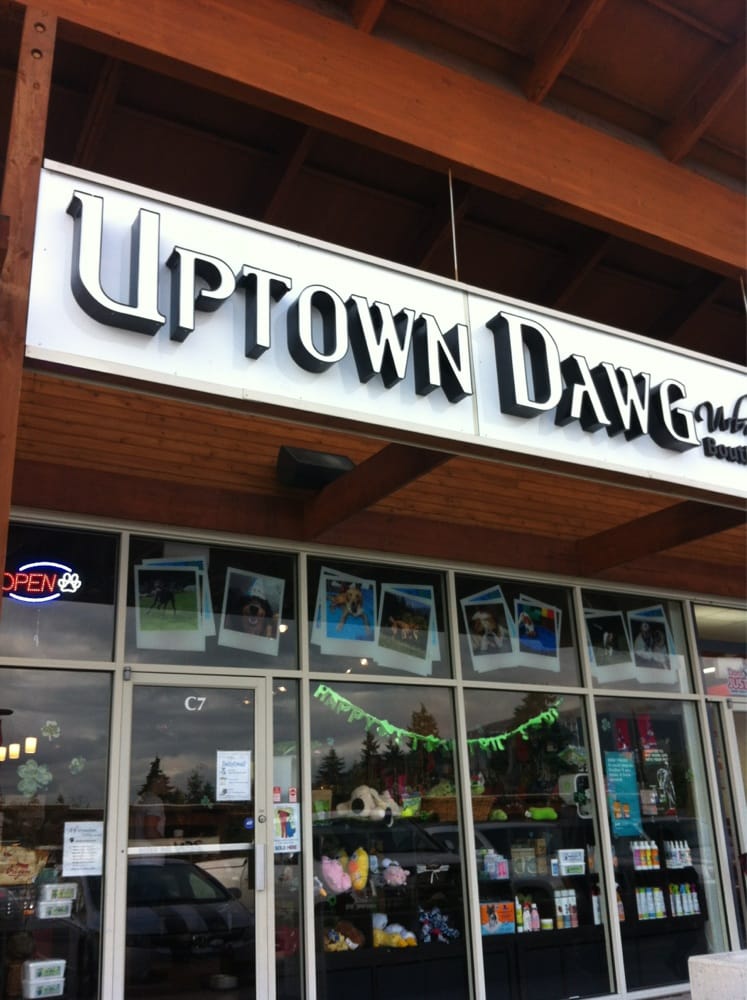 UPTOWN DAWG Updated July 2024 11521470 Prairie Avenue, Coquitlam