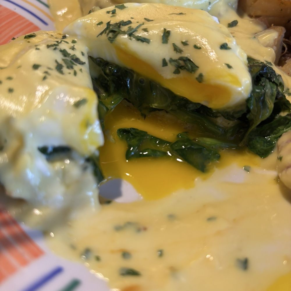 Surge Restaurant - Florentine Benedict - Breakfast & Brunch Near Me - Kenmore, New York Surge Restaurant - Florentine Benedict - Breakfast & Brunch Near Me - Kenmore, New York