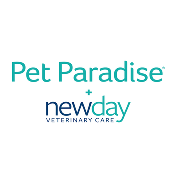 Pet Paradise Ft. Myers - Pet Boarding Near Me - Ft. Myers, Florida Pet Paradise Ft. Myers - Pet Boarding Near Me - Ft. Myers, Florida
