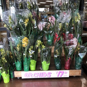 Trader Joe's - Grocery Near Me - Davie, Florida Trader Joe's - Grocery Near Me - Davie, Florida