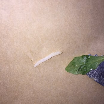 Bushfire Kitchen - Temecula - Found this critter in our food... Was assured that it was "basmati rice". - Gluten-Free Near Me - Temecula, California Bushfire Kitchen - Temecula - Found this critter in our food... Was assured that it was "basmati rice". - Gluten-Free Near Me - Temecula, California