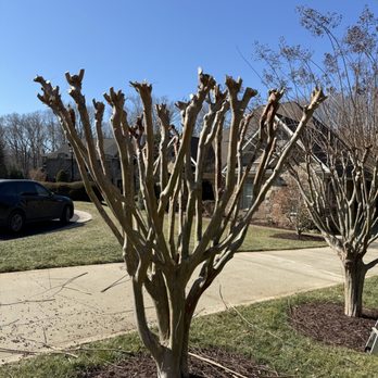 A&P Lawn Care Services - Lawn Services Near Me - Charlotte, North Carolina A&P Lawn Care Services - Lawn Services Near Me - Charlotte, North Carolina