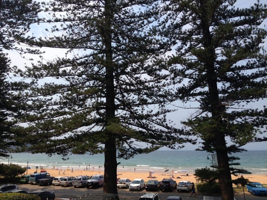 Palm Beach by null