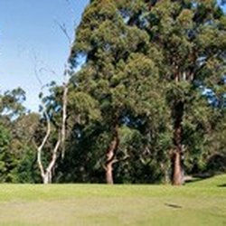 Elsternwick Public Golf Course - The course. Image credit: Elsternwick Gold Course