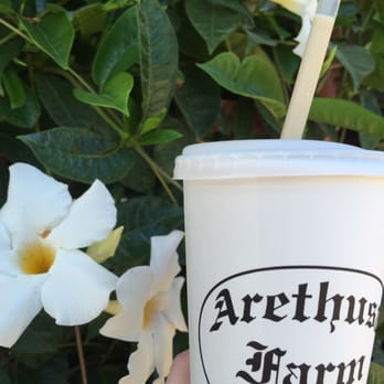 Arethusa Farm Dairy - Milkshake enjoyed by the flower trellis. - Ice Cream & Frozen Yogurt Near Me - Bantam, Connecticut Arethusa Farm Dairy - Milkshake enjoyed by the flower trellis. - Ice Cream & Frozen Yogurt Near Me - Bantam, Connecticut