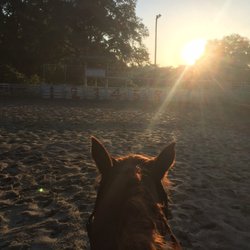 Greenwell Springs Park - Greenwell Springs Park