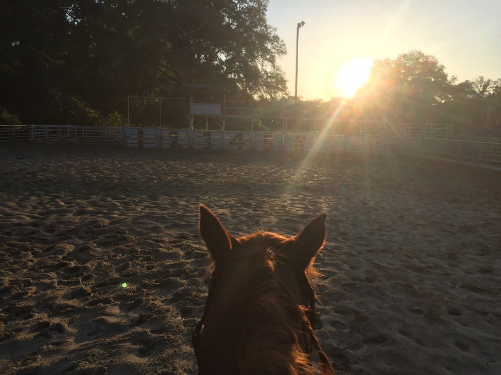 Greenwell Springs Park - equestrian in Central, LA