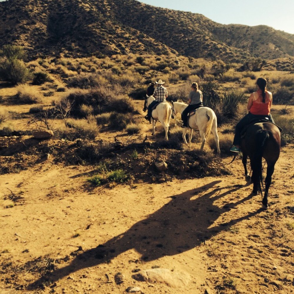 Crazy Horse Ranch - Great views in a smooth trail - Horseback Riding Near Me - Morongo Valley, California Crazy Horse Ranch - Great views in a smooth trail - Horseback Riding Near Me - Morongo Valley, California