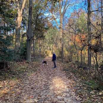 Theodore Roosevelt Island - Parks Near Me Theodore Roosevelt Island - Parks Near Me