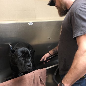 Reber Ranch - The dog wash station, I know, he's miserable - Pet Stores Near Me - Kent, Washington Reber Ranch - The dog wash station, I know, he's miserable - Pet Stores Near Me - Kent, Washington