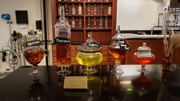 The Sazerac House by null