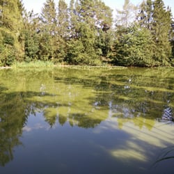 Biersee