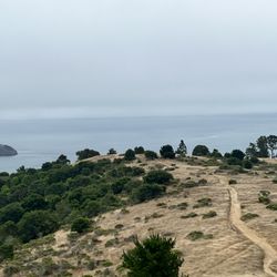 Fishbits' Trail - This is up on the last hill before making decent to lookout point over Angel Is.