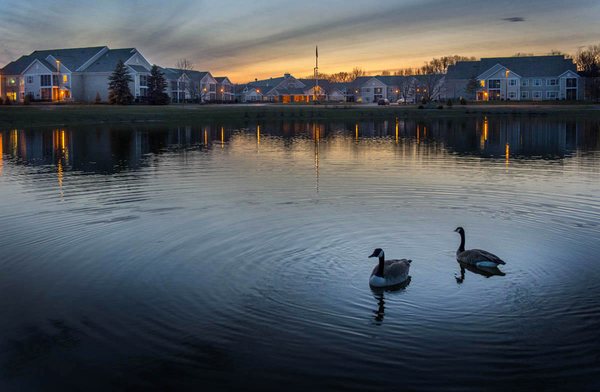 The Village at Unity & The Hamlet by null