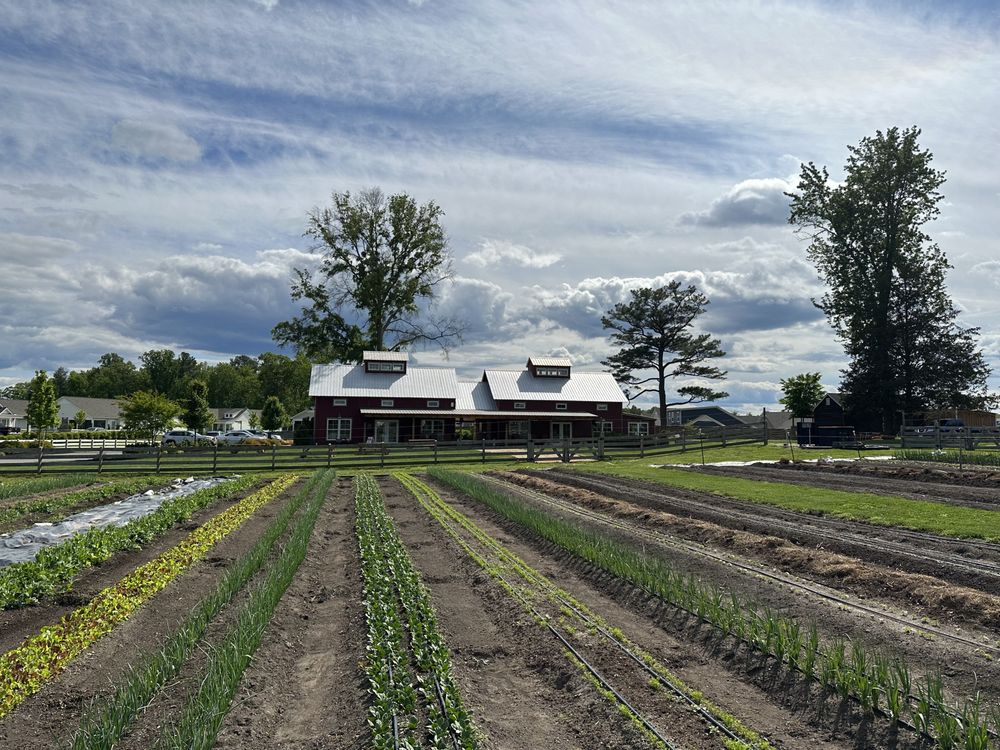 WOODSIDE FARMS 10447 Woodside Farms Dr, Glen Allen, Virginia