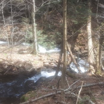 Ricketts Glen State Park - Parks Near Me - Benton, Pennsylvania